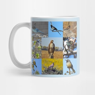 Wild Birds of California, wildlife, nature Mug